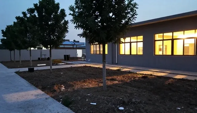 植物品质在园区绿化施工中的选型关键
